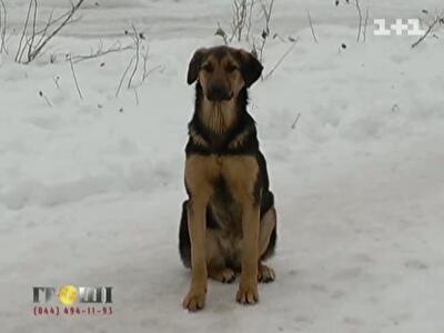 Под Киевом квартиры сирот сдают за бесценок, а самих детей спаивают пивом