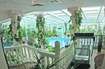 Празднование Нового года в домах политиков 