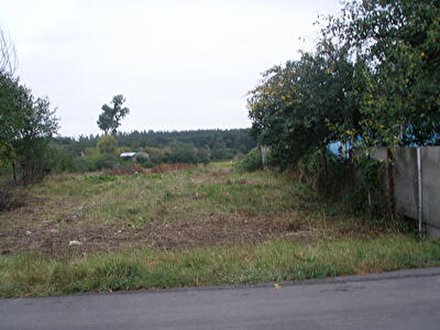 Макарівський район, с. Ясногородка