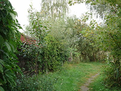 Макарівський район, с. Миколаївка, Гарматная ул.