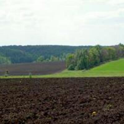 Эксперт назвал стоимость украинской земли