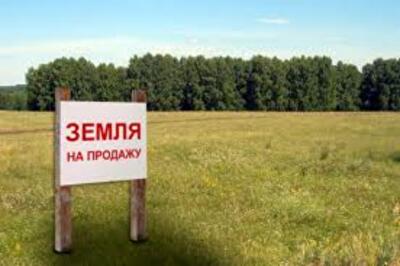 Украина готовится к грандиозной распродаже земли