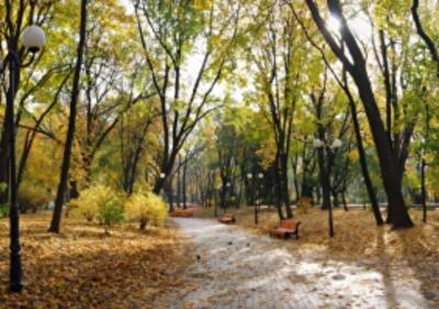 Мариинский парк застраивать не будут