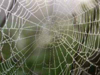 Кредит "со столба" без справки о доходах за один час: что предлагают по объявлениям