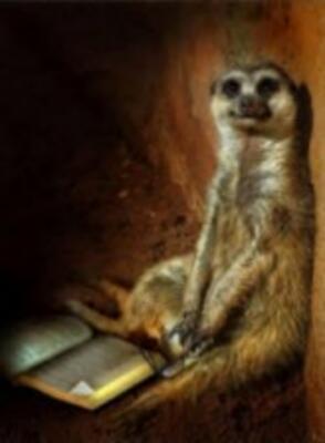 Независимый анализ киевского рынка жилья за 19.07.2011 от Суслика