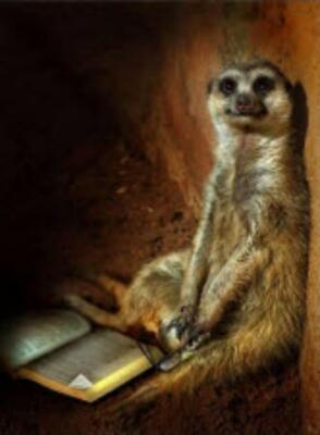 Независимый анализ киевского рынка жилья за 15.06.2011 от Суслика