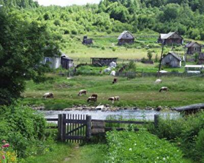Чтобы сохранить село, нужно продавать землю