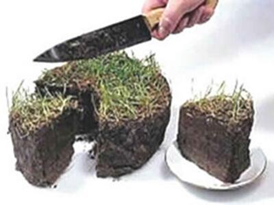 Украинскую землю хотят поделить