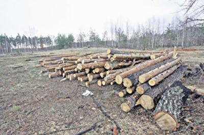 Новая киевская схема отчуждения земли под застройку