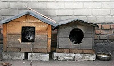 Як позбутися квартири за п'ять хвилин