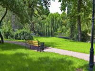 Харківські екологи протестують проти закону «Про регулювання містобудівної діяльності»