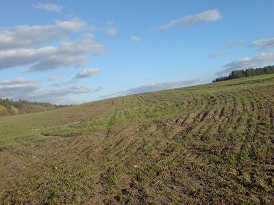 Васильківський район, с. Крушинка