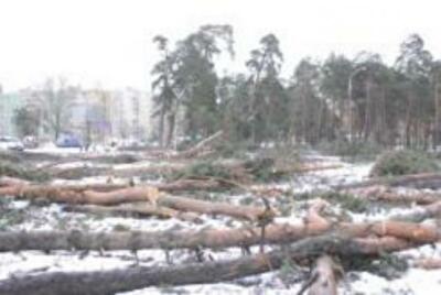 Привид чуми: У Києві знову намагаються забудувати могильник Жовтневої лікарні