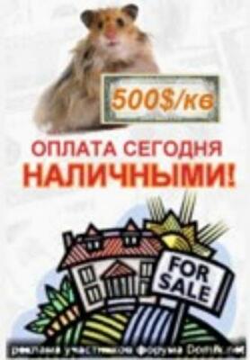 Предварительные итоги  «Недели Хомяка» на киевском портале недвижимости Domik.net