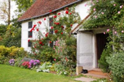 Как планировать приусадебный участок?