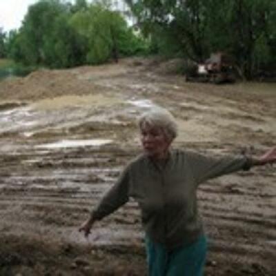 Что им стоит дом построить. В озере...