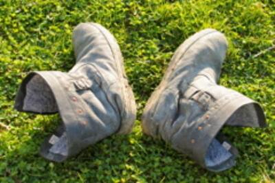 Нужна ли дача здравомыслящему горожанину? Часть 2