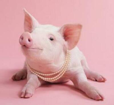 Риэлторские уловки и как «подложить свинью» конкуренту