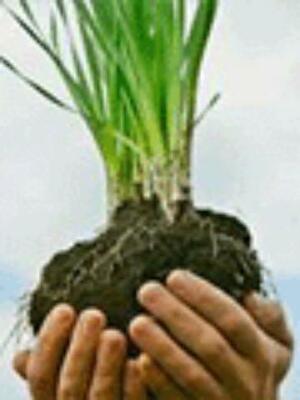 г. Киев,
21-22 апреля. Семинар: Сделки с землей. Приватизация земли