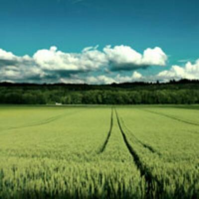 Мэрия продала земли на 38 млн гривен