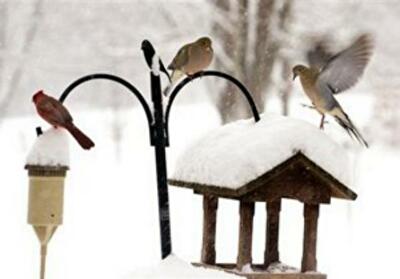 Жилье будут строить на оборонных землях
