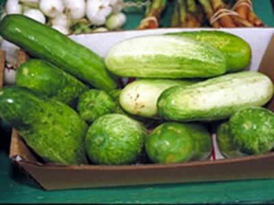 Запрет ГМО – лишь ущерб для экономики