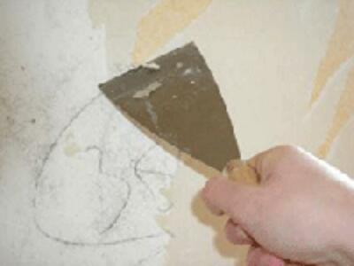 Ледниковый период первички