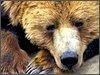 Великобритания-2010: рынок впадет в спячку
