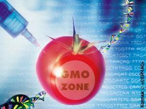 ГМ-продукты выводят из тени 