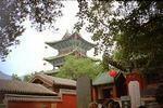 Ирландцы собрали миллиард долларов на китайскую недвижимость