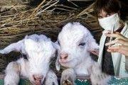 Пациенту на заметку. Что надо дарить врачам 