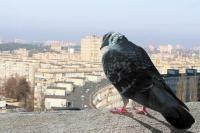 Квартиры подешевели до весеннего уровня