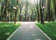 В парке "Сырецкий гай" снесут "нелегальный" дом