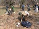 Киевлян приглашают на генеральную уборку столичных парков 