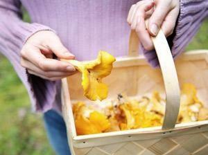 От "тихой охоты" можно умереть