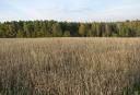 Луганские депутаты отказались поднимать арендную плату за землю