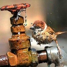 Чиновники водоканала советуют перекреститься, перед тем как пить воду из-под крана