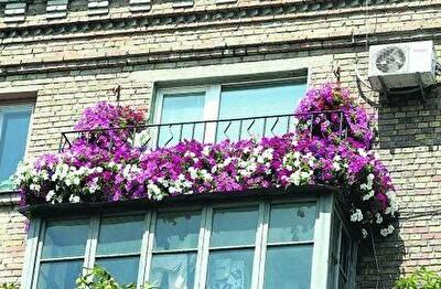Киевляне устроили конкурс балконной красоты