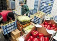 Государство готово развивать оптовую торговлю продуктами за счет бюджета