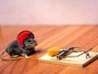 Квартира в лизинг – альтернативная реальность ипотеке