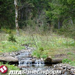 Киевская мэрия планирует ввести плату за въезд в городские леса