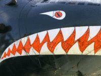 Аренда квартиры посуточно: как избежать аферизма 