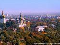 В Чернигове увеличили плату за вырубку деревьев в 10 раз