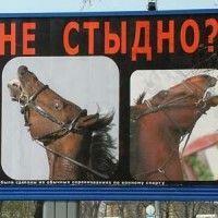 К выборам будь готов! Политические силы выкупают билл-борды тысячами