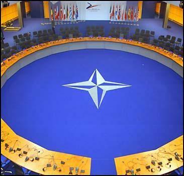 В Украине проведут "классический урок о НАТО"