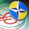 Вступление Украины в НАТО: вопрос остается открытым 