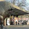 Київ: зоопарк отримає генплан