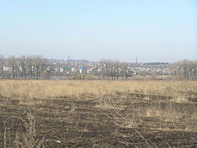 Земля в пригороде дорожает 