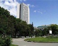 Черновецкий уничтожает зеленые насаждения
