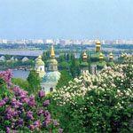 Охота на провинциала